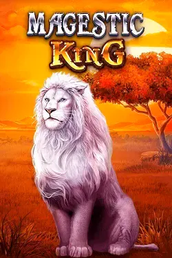 Gioco di Slot4