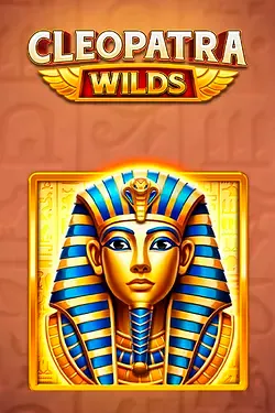 Gioco di Slot5